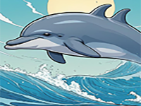 Jumping Dolphin Rescue